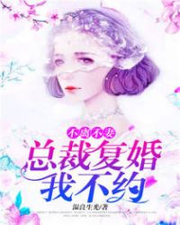 不离不妻：总裁复婚我不约